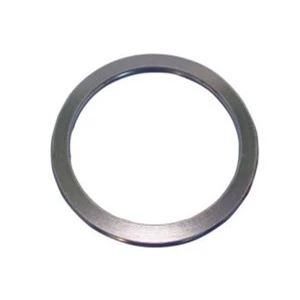 Spiral Wound Gasket
